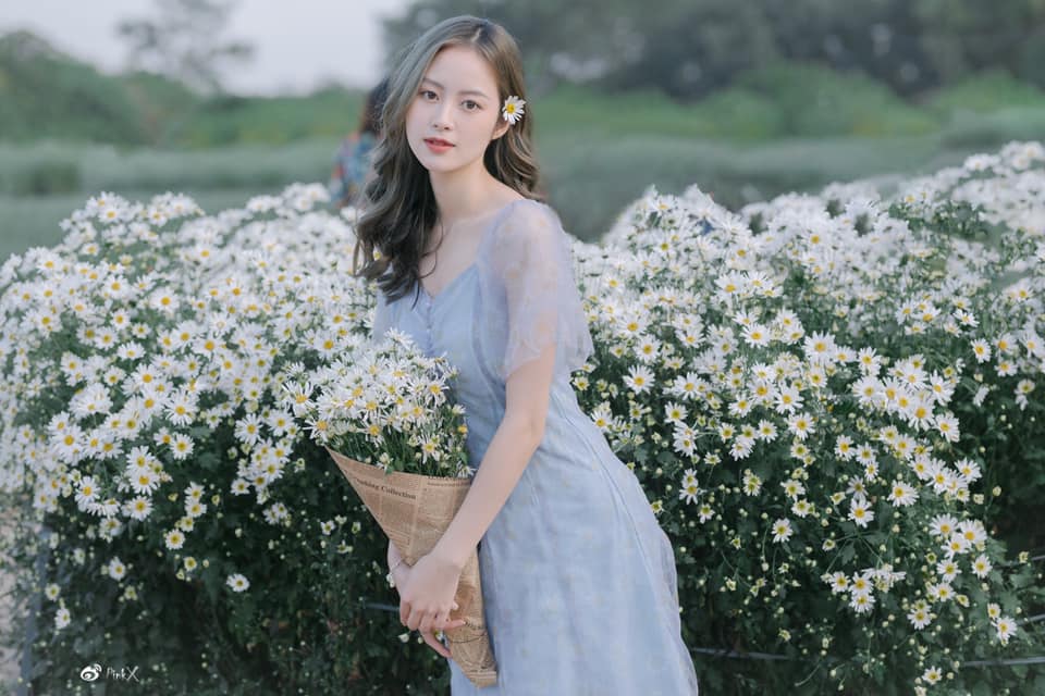 Cúc Họa Mi - Mai Chinh 2021