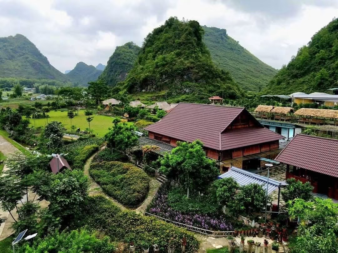 Nasan Green Farm