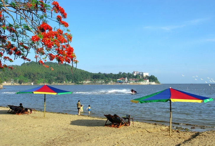 Tổng quan