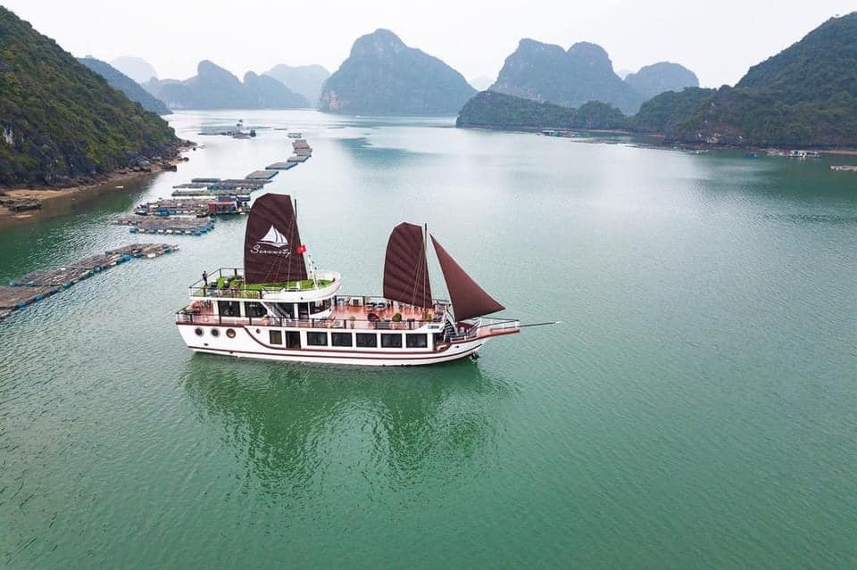 Tổng quan