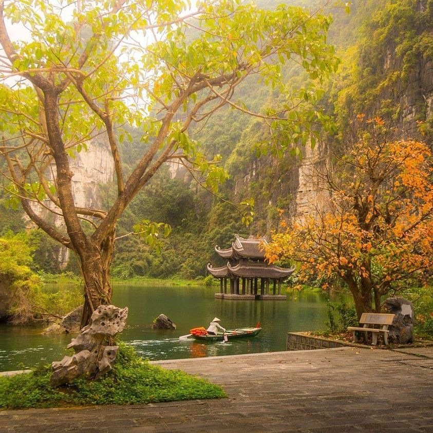 Tổng Quan