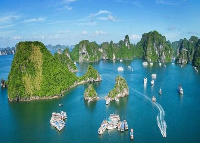 Tổng quan