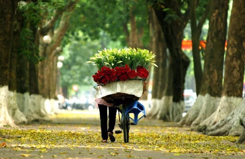 Tổng Quan