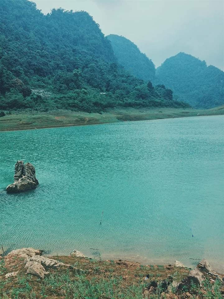 Tổng quan