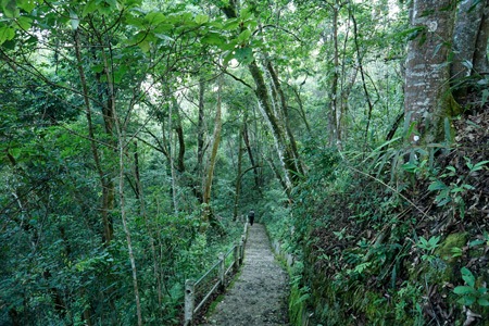 Ảnh lưu niệm