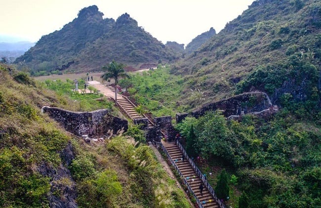 Tổng quan