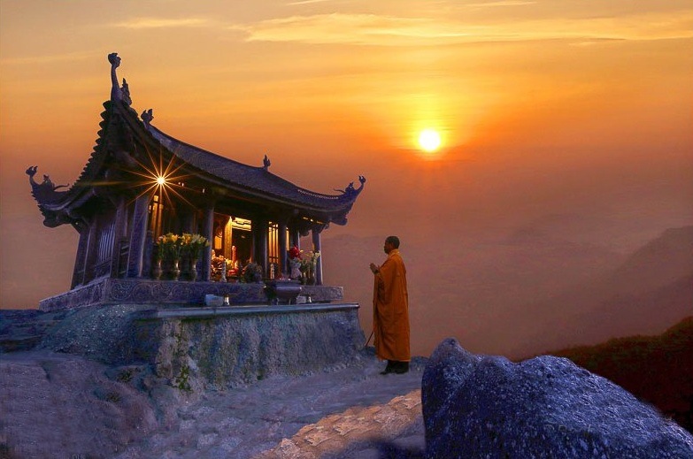 Tổng quan