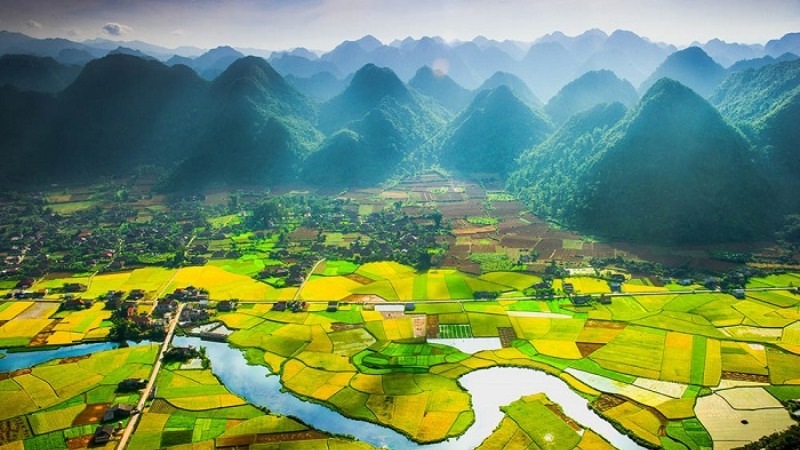 Tổng quan