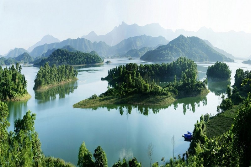 Tổng quan