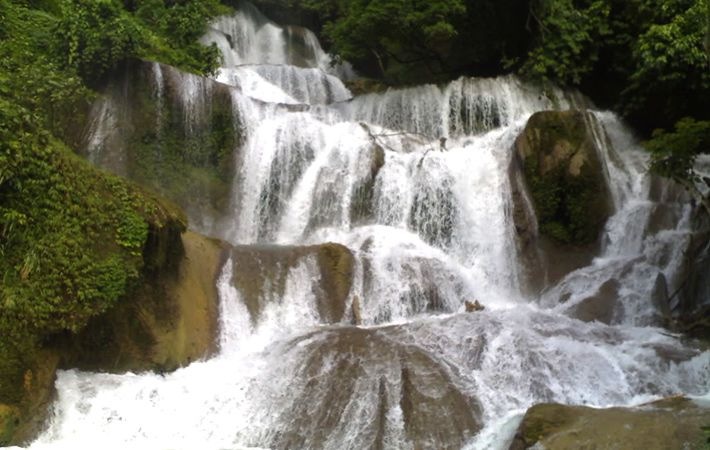 Tổng quan