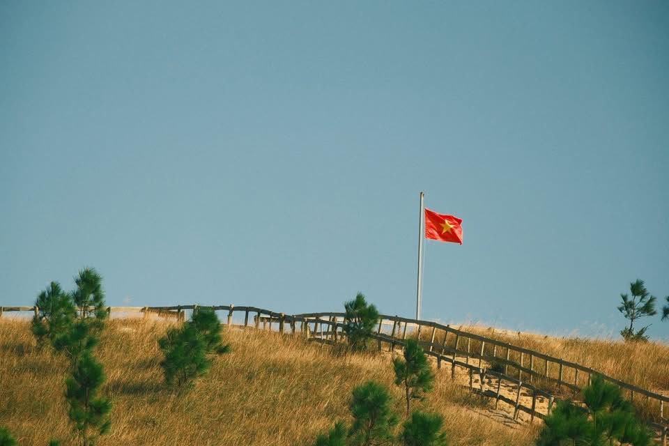Tổng quan