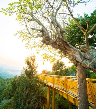 Tổng quan