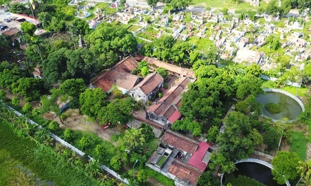 Tổng quan