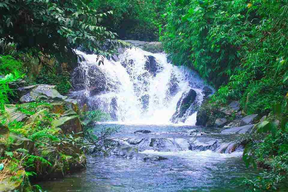Tổng quan