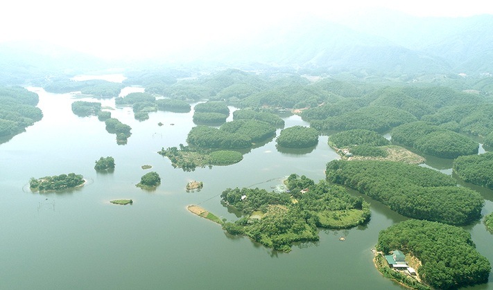 Tổng quan
