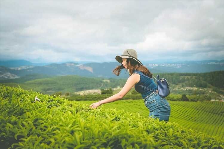 Ảnh đẹp check in