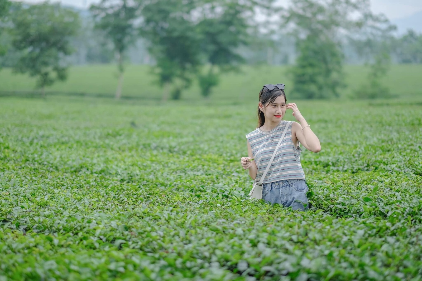 Ảnh lưu niệm