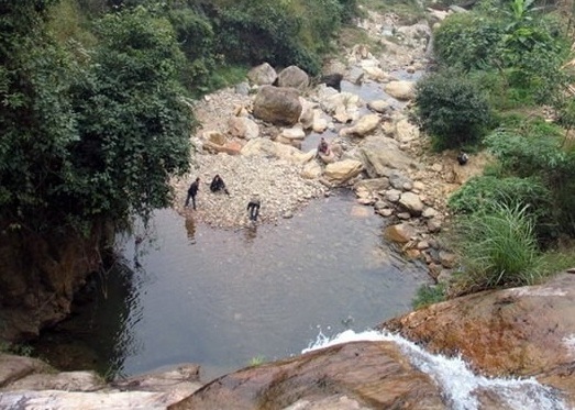 Tổng quan