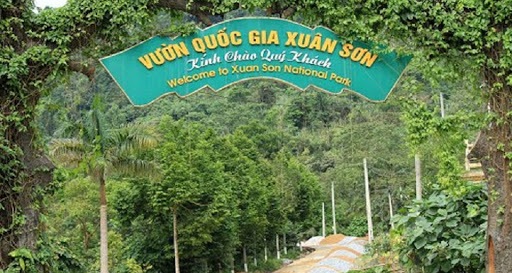Tổng quan