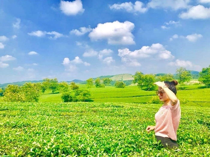 Ảnh lưu niệm