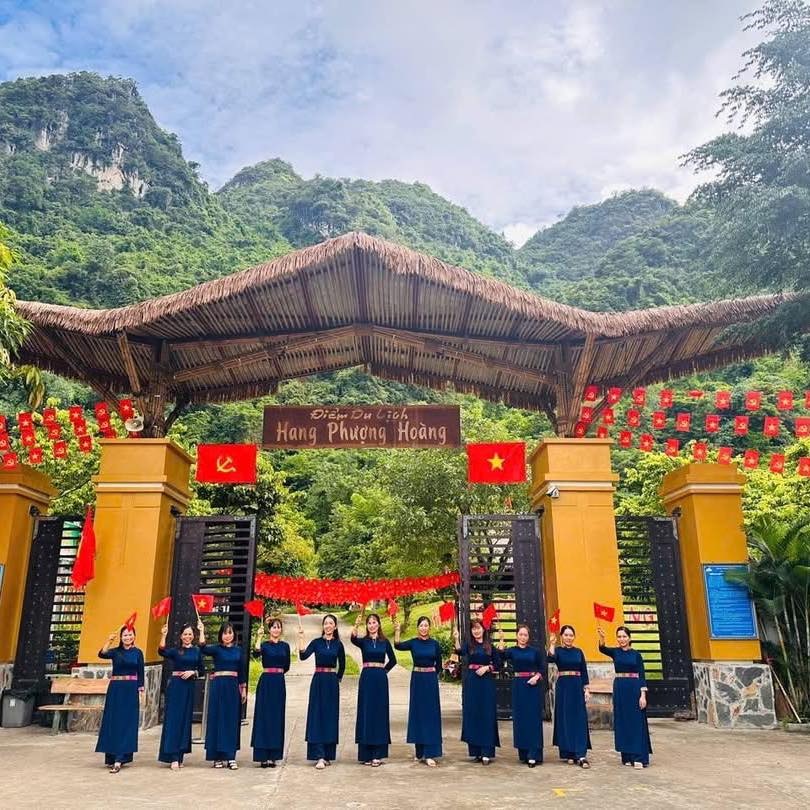 Tổng quan