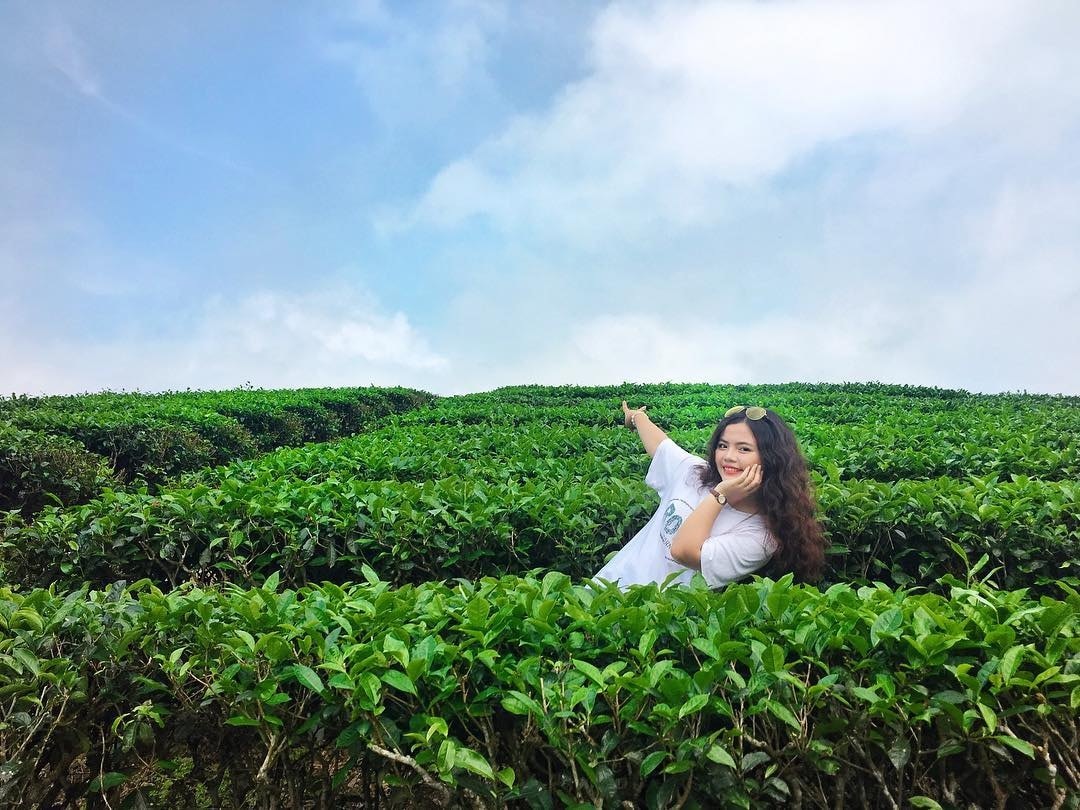Ảnh đẹp check in