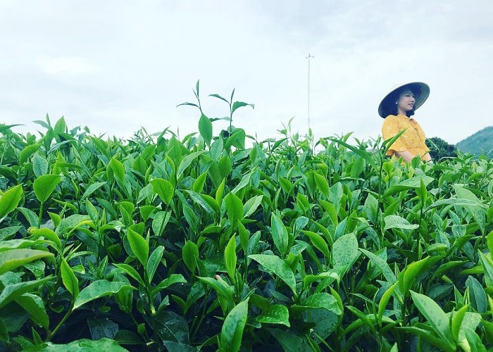 Ảnh lưu niệm
