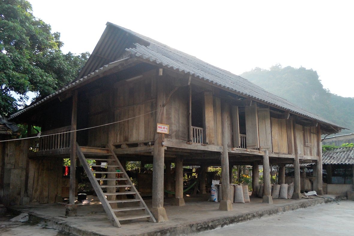 Tổng quan