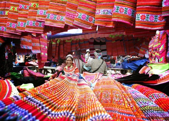 Tổng quan