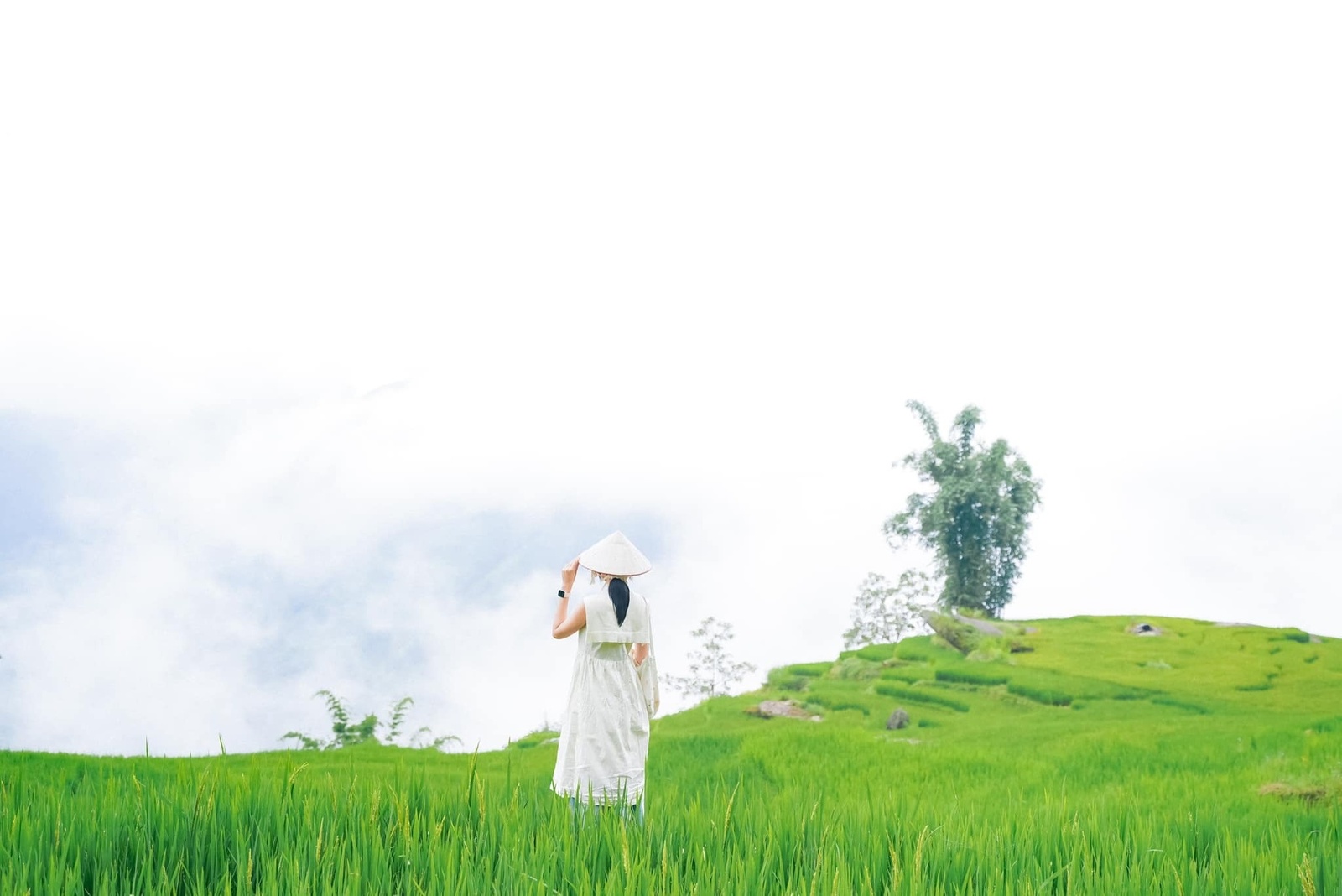 Ảnh đẹp check in