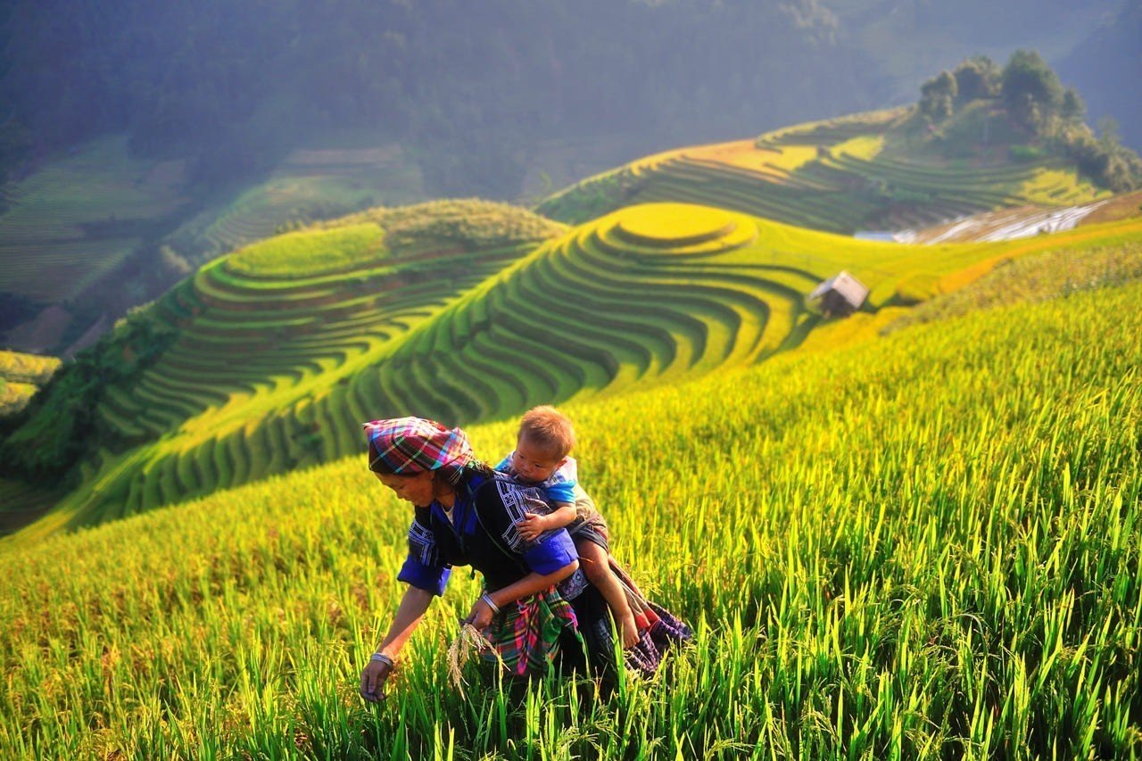 Ảnh đẹp check in