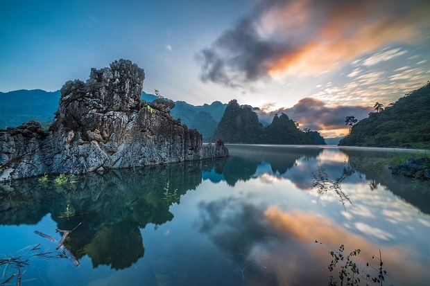 Tổng quan