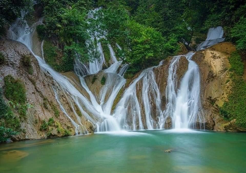 Tổng quan