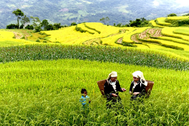 Ảnh lưu niệm