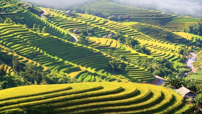 Tổng quan