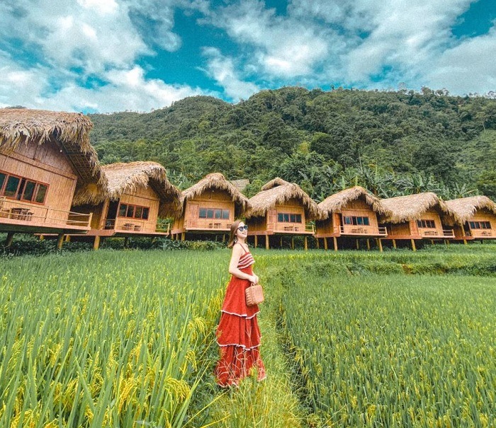Ảnh đẹp check in