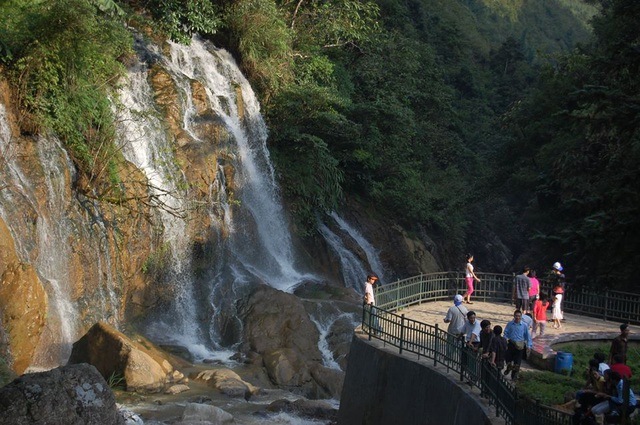 Tổng quan
