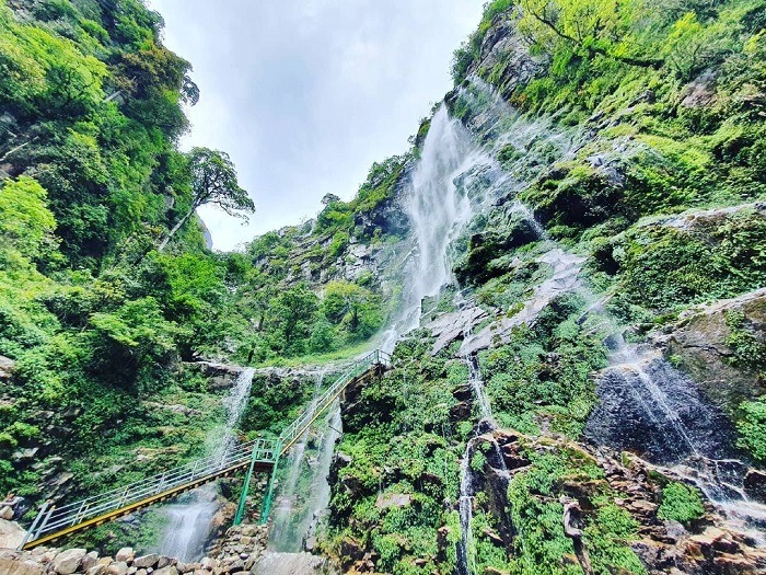 Tổng quan