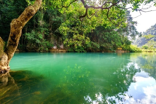 Tổng quan