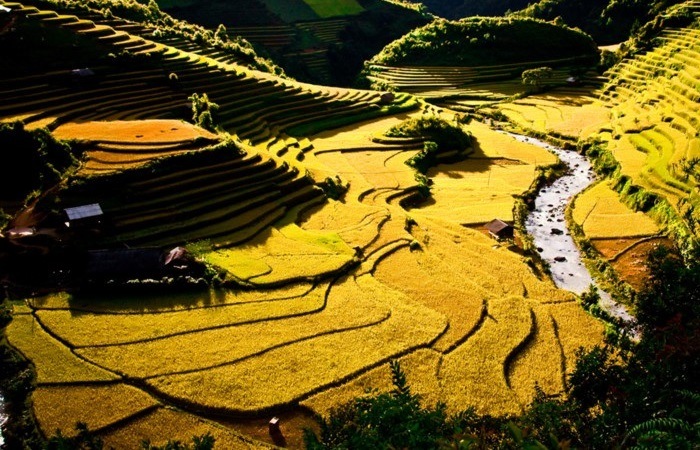 Ảnh đẹp check in