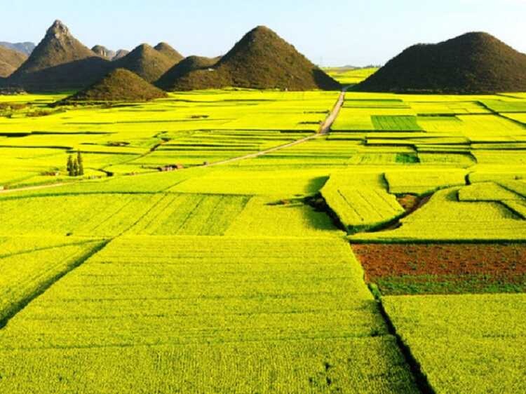 Tổng quan