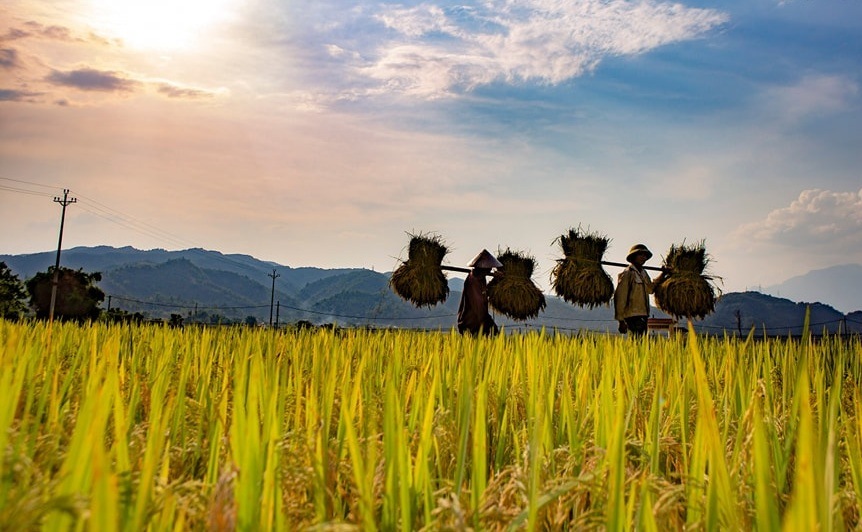 Ảnh đẹp check in