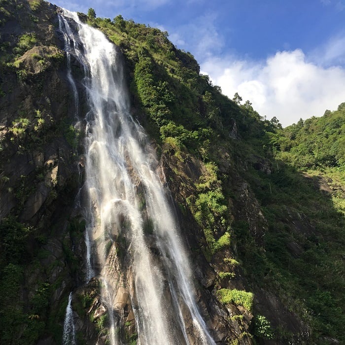 Tổng quan