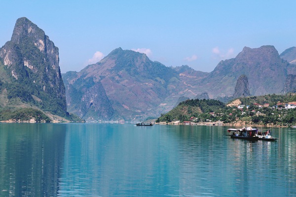 Tổng quan