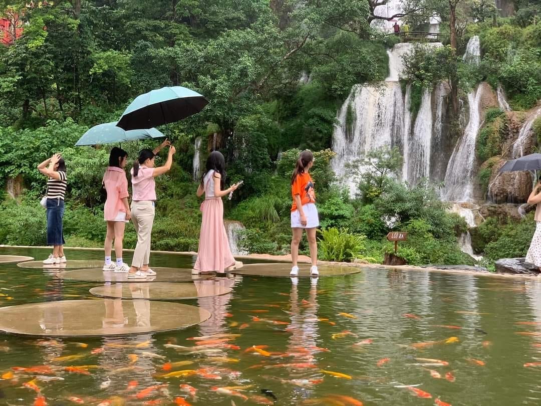 Tổng quan