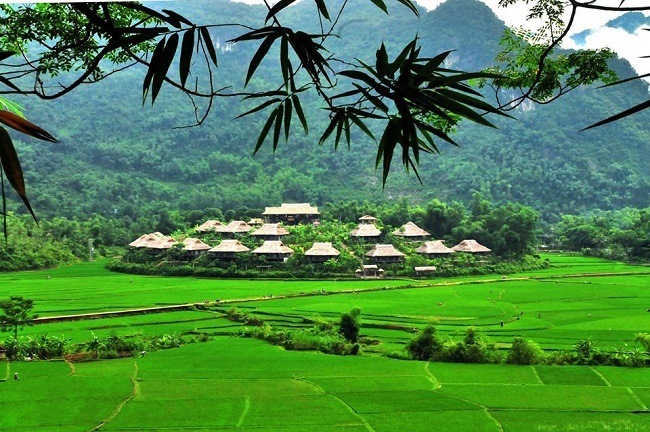 Tổng quan