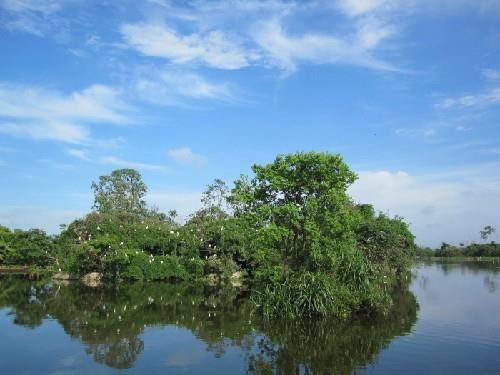 Tổng quan