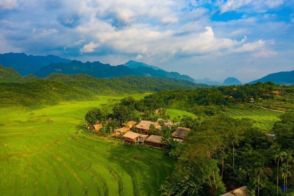 Tổng quan