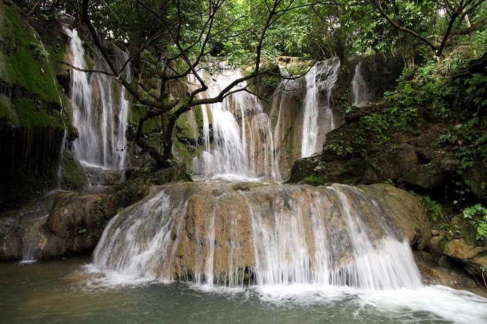 Tổng quan