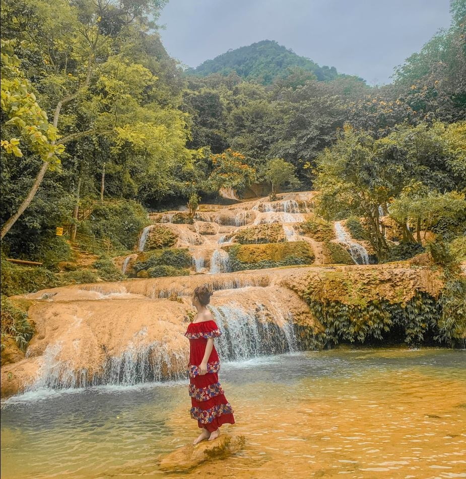 Tổng quan